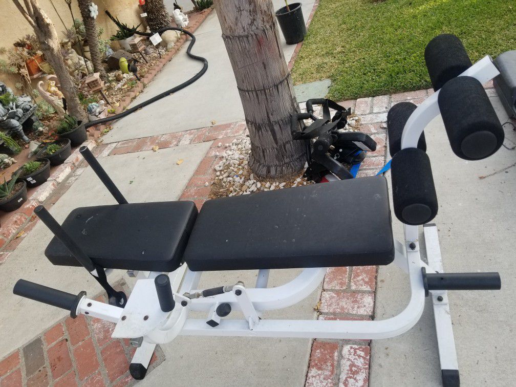 Body Solid Exercise Equipment