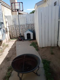 Dog House No Need For It