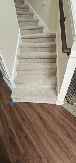 New carpet