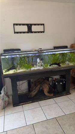 110 gal Fish tank , stand etc