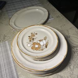 Autumn Fair Baroque Hearthside Stoneware Dinner Plates 