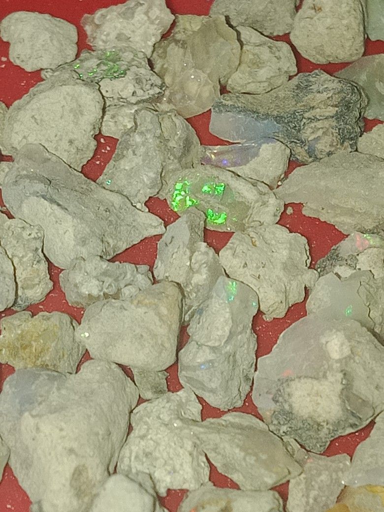 Ethiopian Black Fire Opal Rough Gemstone 10mm-12mm Welo Mines