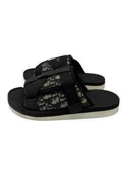 Dior slides