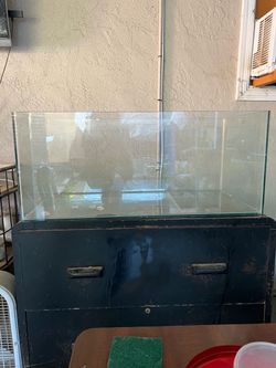 Rimless 40g tank