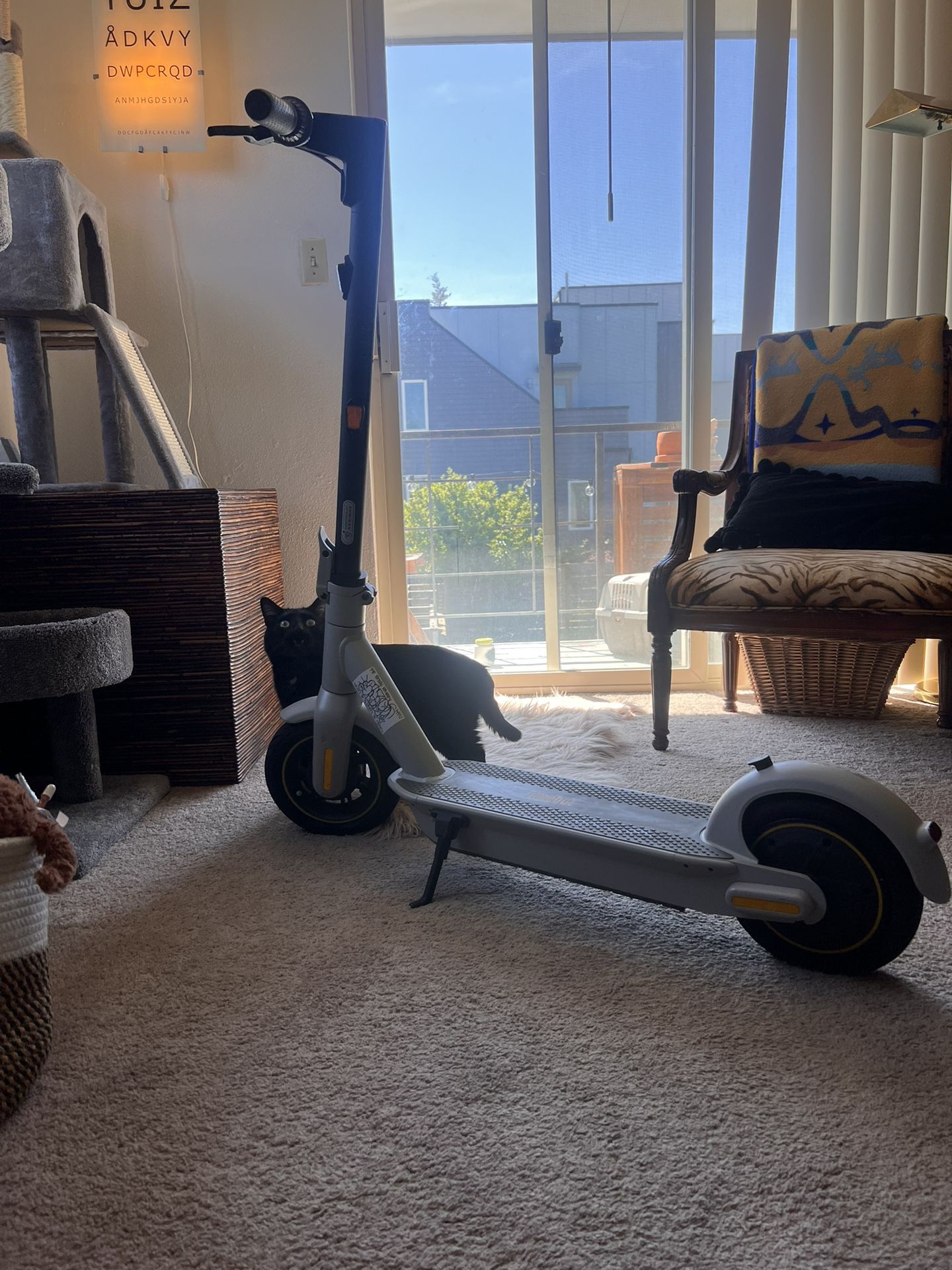 NineBot G30LP KickScooter MAX