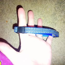 Dog Collar 