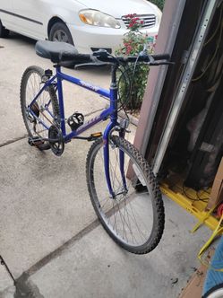 Rallye bike 🚲