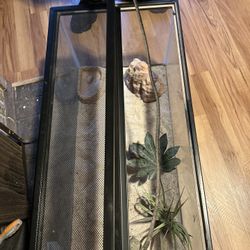 Fish Tank 