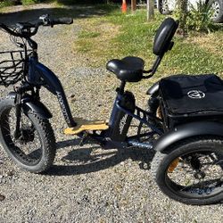 AddMotor GRANDTAN M-340 Etrike