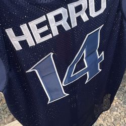 Tyler Herro High School Jersey