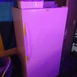 Commercial Frost Free Freezer