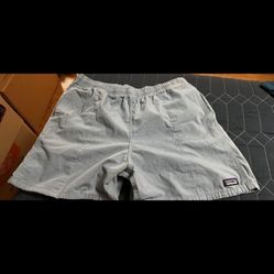 Patagonia Shorts 