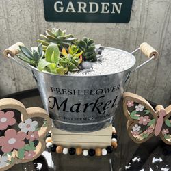 Succulent Arrangement 