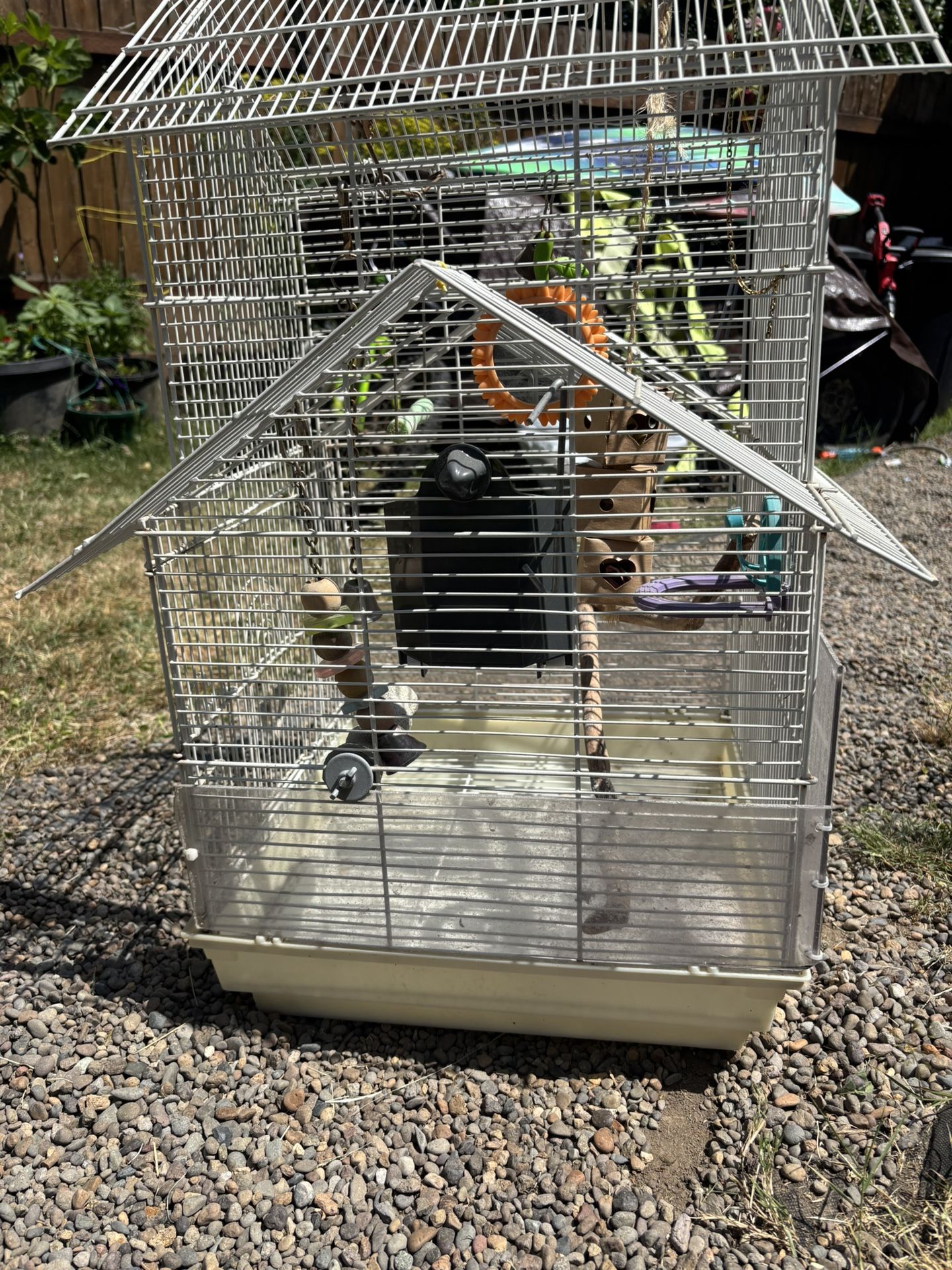 Bird Cage