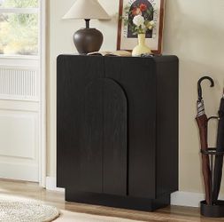 Black 2 Doors Shoe Storage Cabinet
