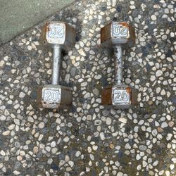 20 lbs weights