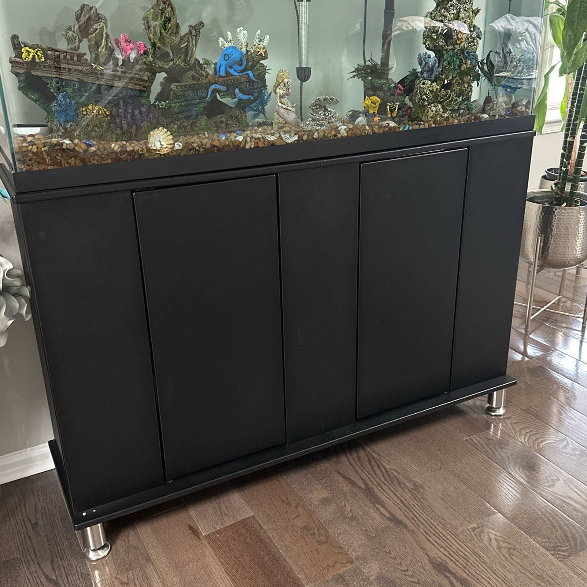Fish Tank Equarium