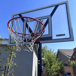 Lifetime hoop (like New)