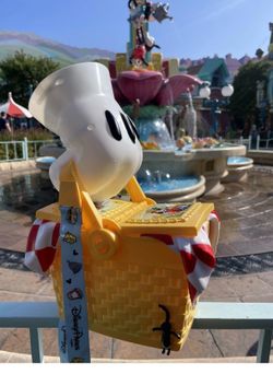 Disneyland perfect picnic popcorn bucket