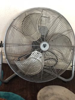 Fan