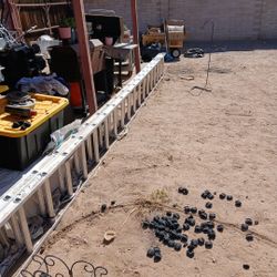 40' Werner Extinsion Ladder