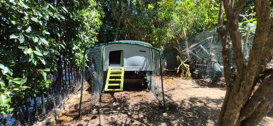 Omlet Eglu Cube Large Chicken Coop with 6ft Run – Green