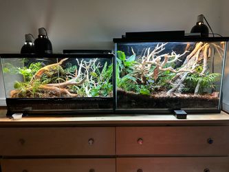 Reptile tank ( read description )