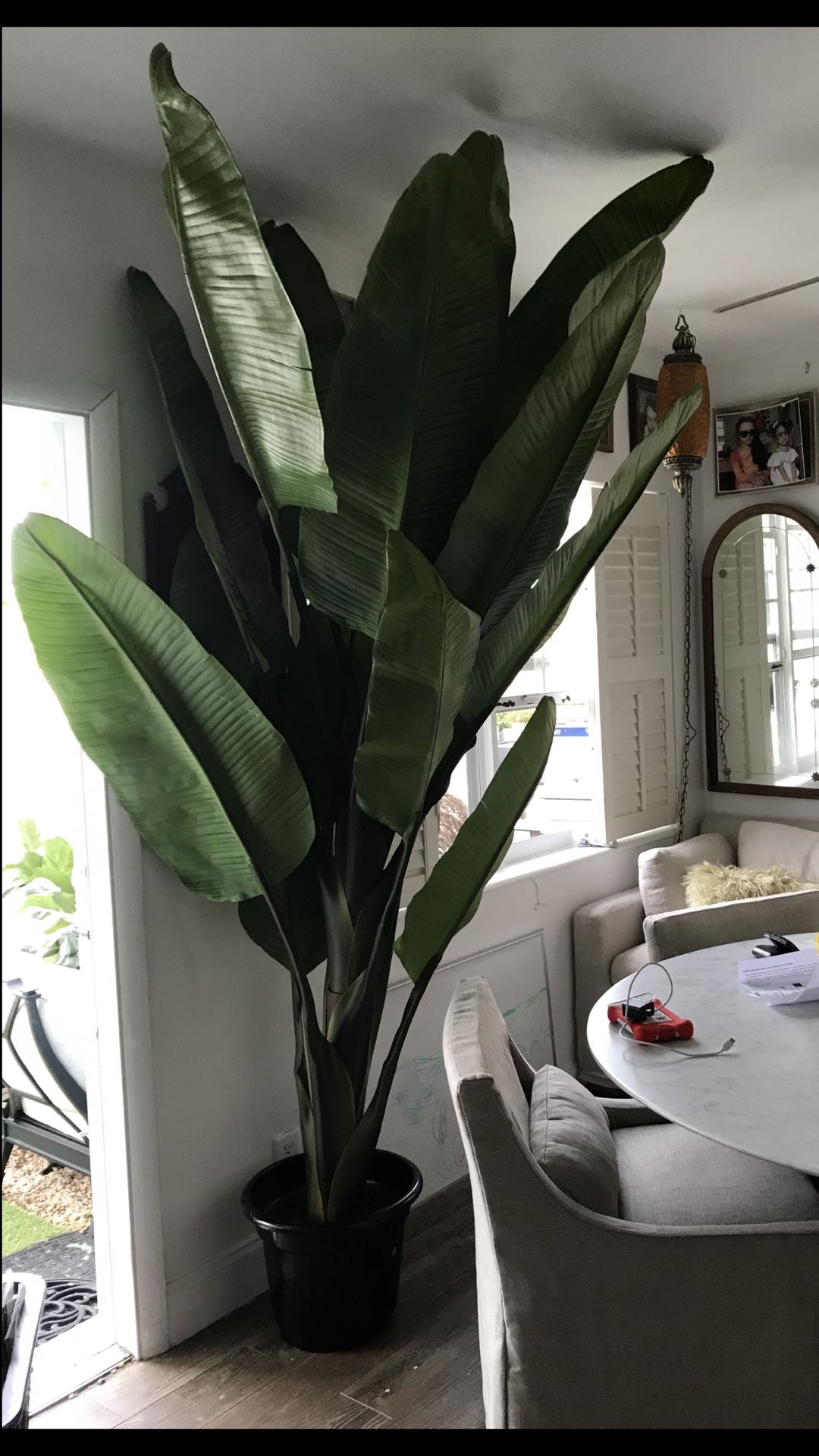 Rh Banana 8 foot grand faux cavendish tree restoration hardware artificial palm outdoor