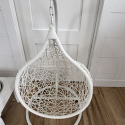 Dog Swing