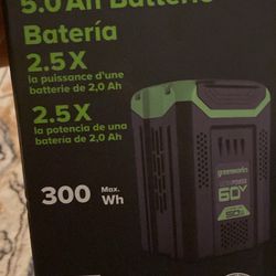 Green Works 60 V Batteries And Charger