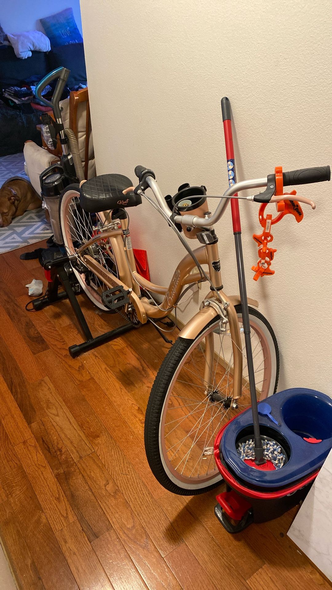 Cruiser Bike And Stand