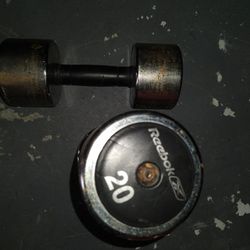 20 Lb Reebok Dumbbells