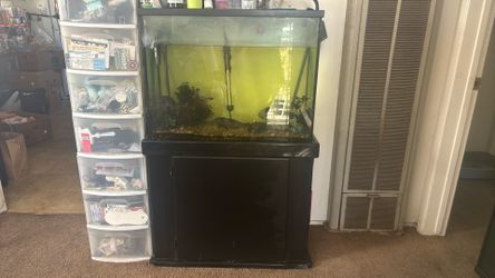 fish tank
