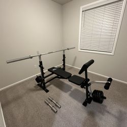 Flybird Bench Press Leg Extension Bench and Weights