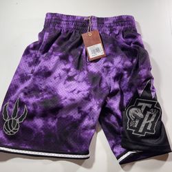 Mitchell & Ness Toronto Raptors Shorts Mens Small Galaxy Reflective Swingman