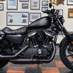 HARLEY DAVIDSON IRON 883 2022