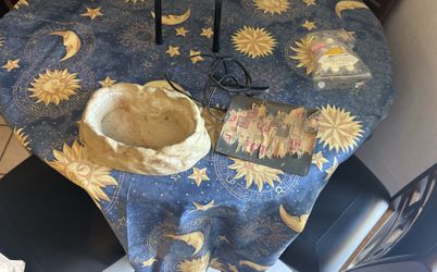 Water Bowl And Small Heating Pad For Reptiles 