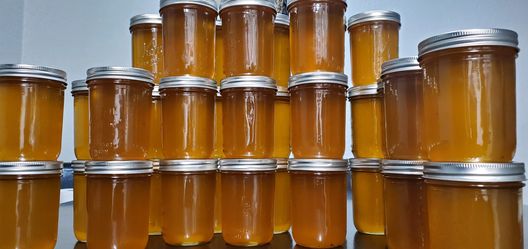 Bella’s Organic raw honey