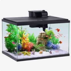 10gal Starter Kit Fish Tank