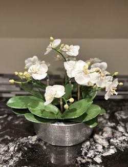Orchid Centerpiece Arrangement