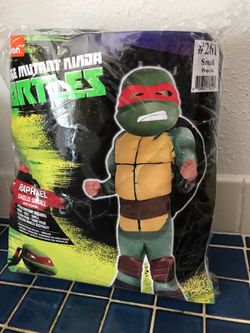 Rapahael costume
