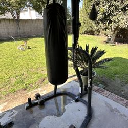 Used Everlast Boxing Stand + Punching Bag