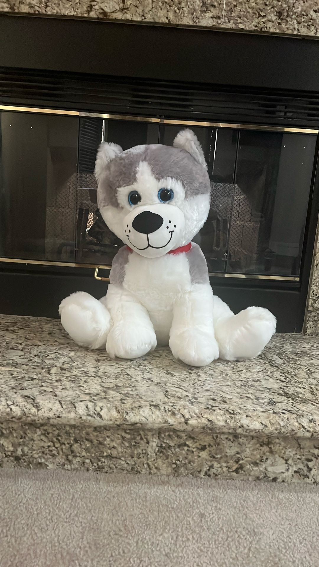 A Fluffy Stuffed Animal