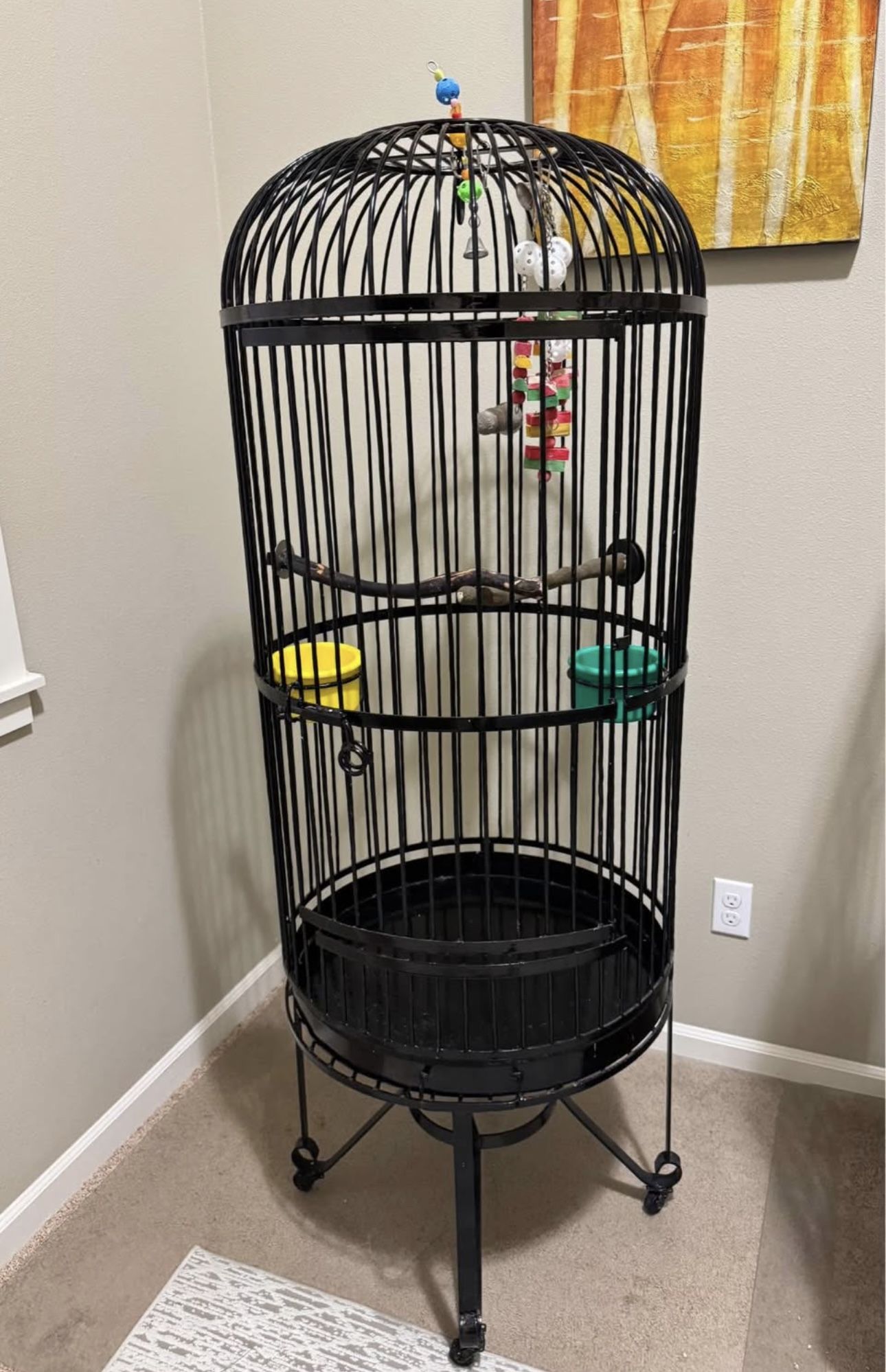 Bird Cage