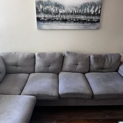 Sectional Gray Couch