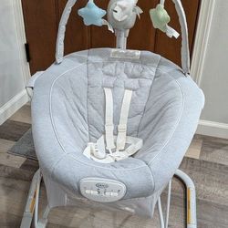Graco Baby Swing & Portable Bouncer