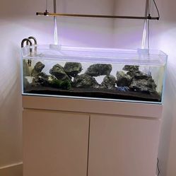 UNS aquarium CLEAR PLUS Edition with white stand Cabinets pump heater CO2 Tank vacuum etc. 