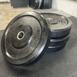 Bumper Plates (priced Per Pair)