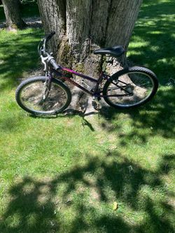 24” trek mountain bike
