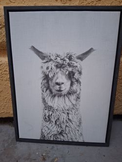 Wall Art (Llama Picture)